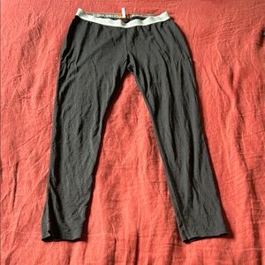 Women’s Icebreaker Base Layer Pants